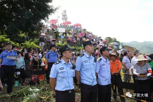 梅州大埔爆料案件最新,案情揭秘，真相渐浮水面