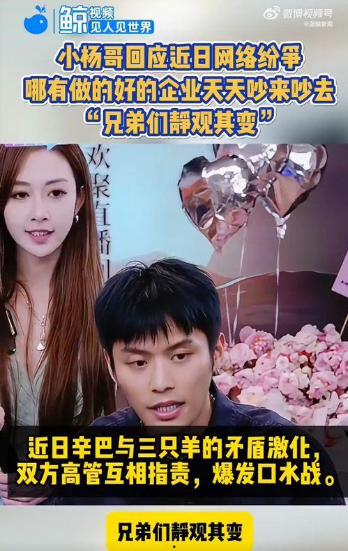 三只羊最新爆料视频在线观看,精彩瞬间不容错过！